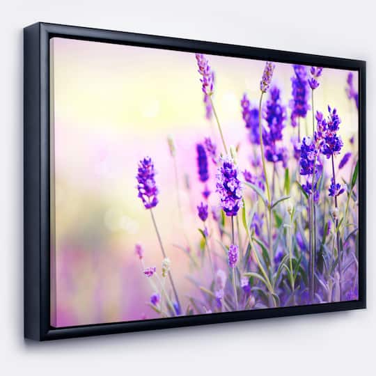 Designart - Purple Lavender Field